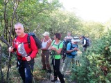 03. Na usponu